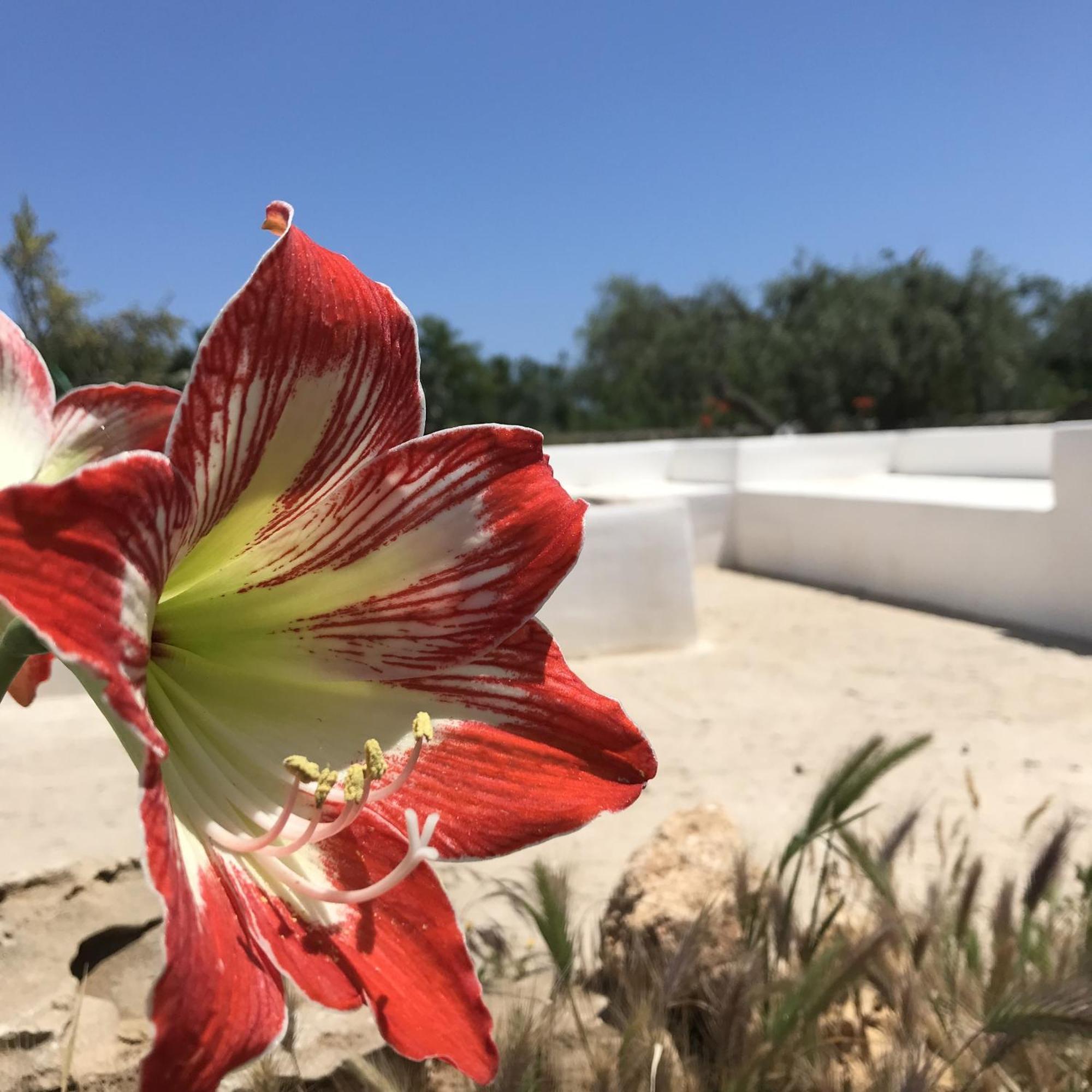 Casapiuholidaysicilia-Adults Only Noto Bagian luar foto