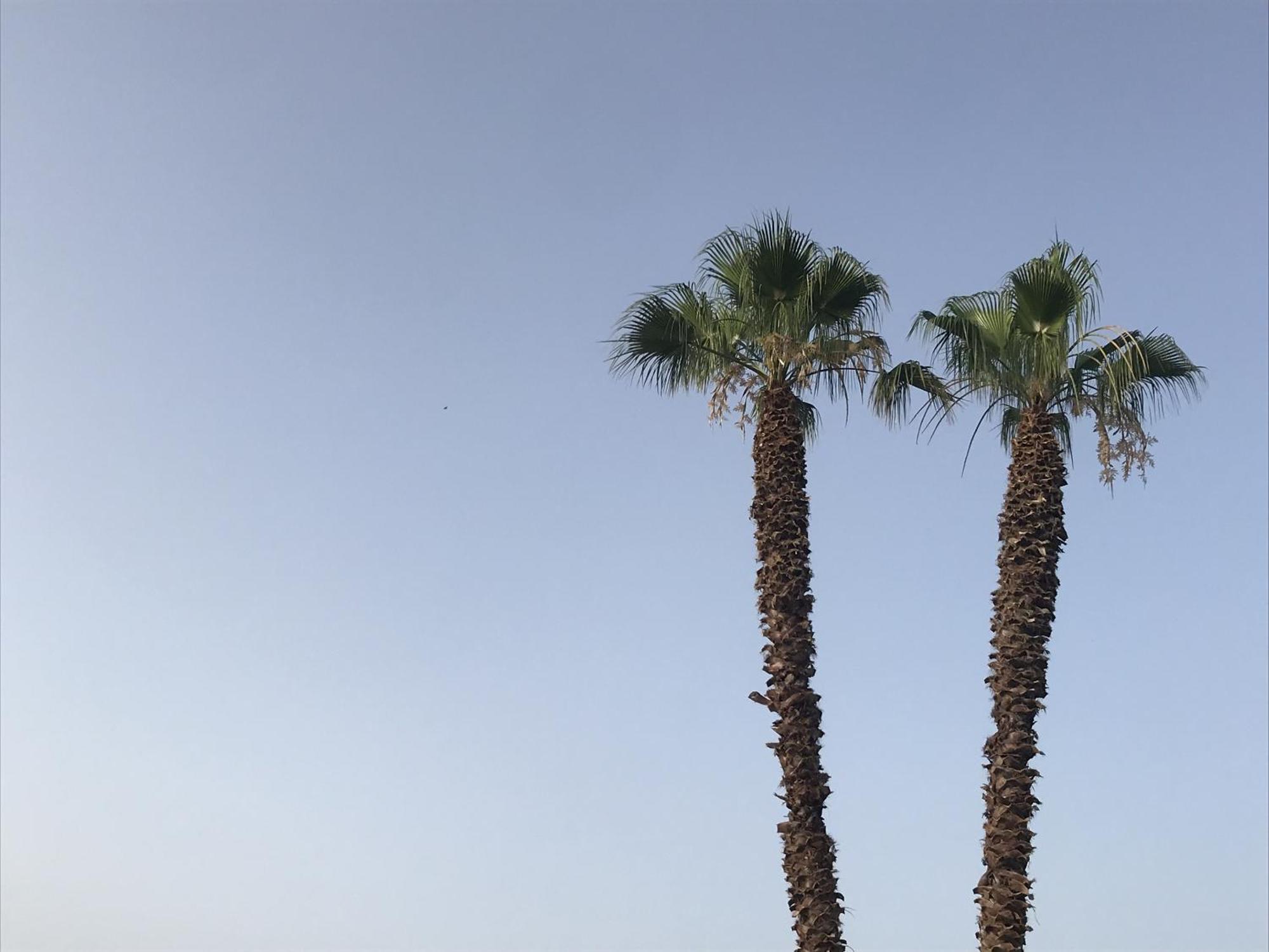 Casapiuholidaysicilia-Adults Only Noto Bagian luar foto