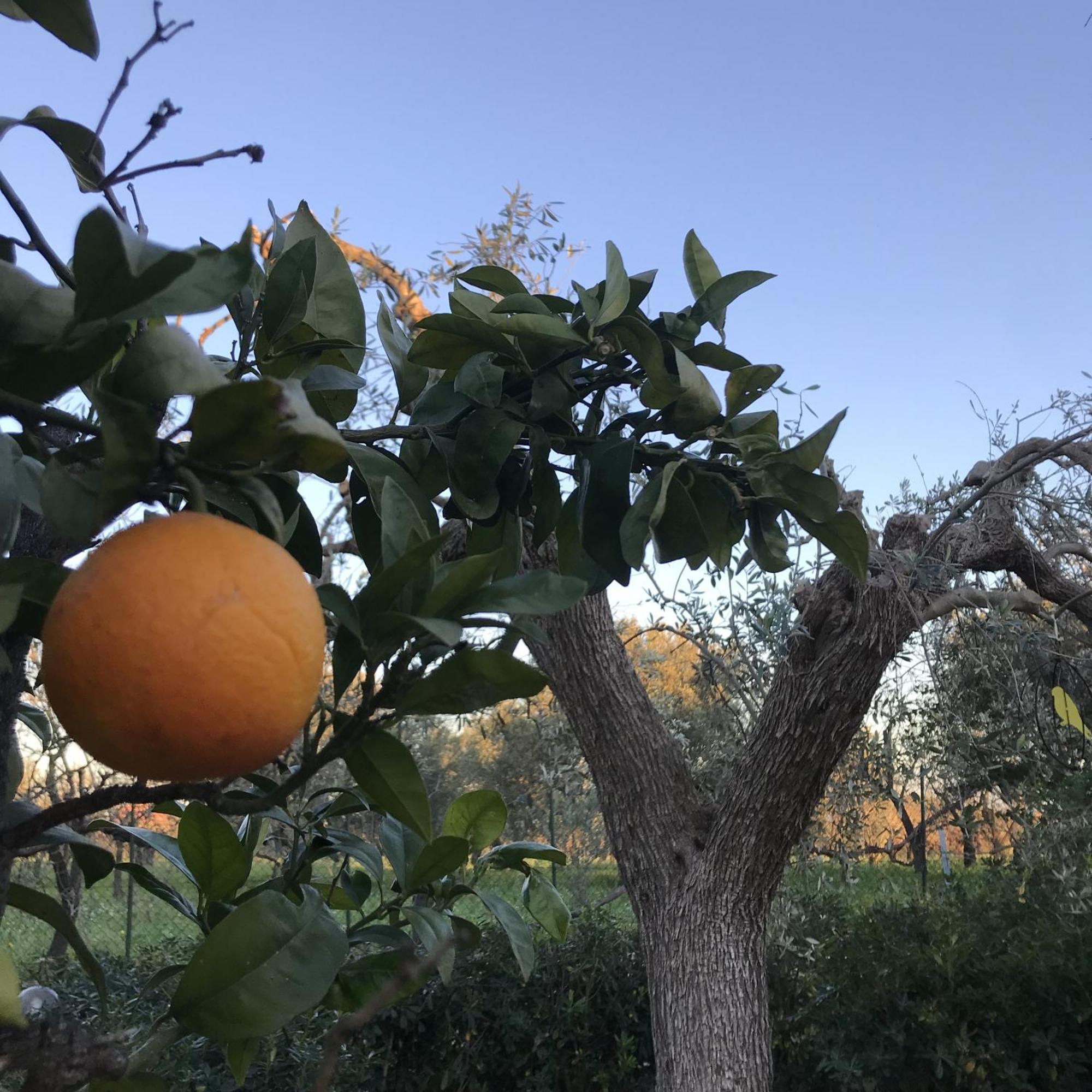 Casapiuholidaysicilia-Adults Only Noto Bagian luar foto