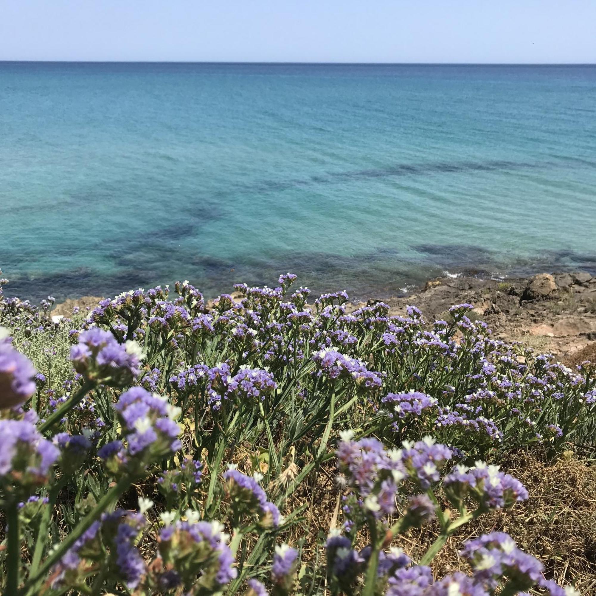 Casapiuholidaysicilia-Adults Only Noto Bagian luar foto