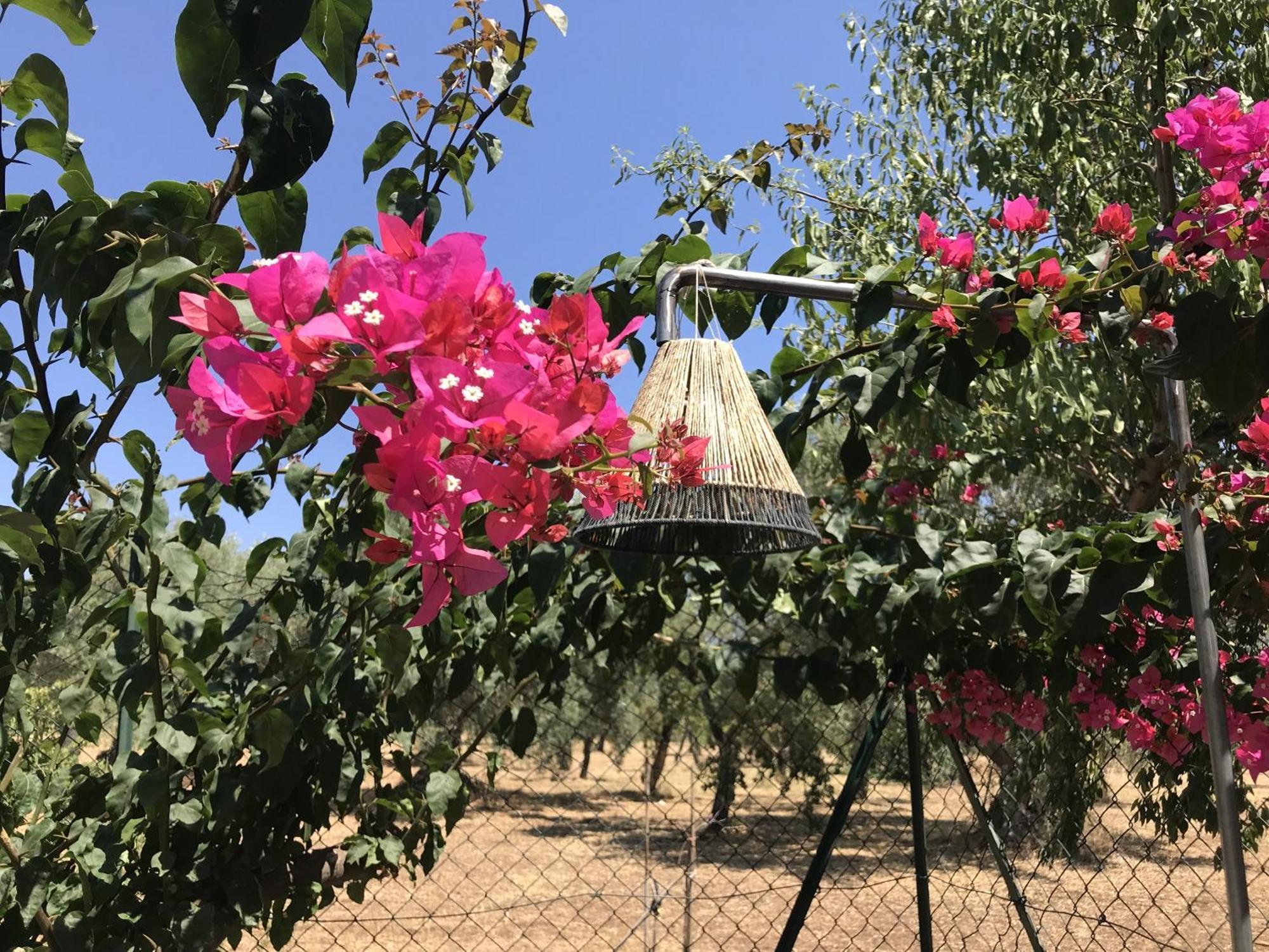 Casapiuholidaysicilia-Adults Only Noto Ruang foto