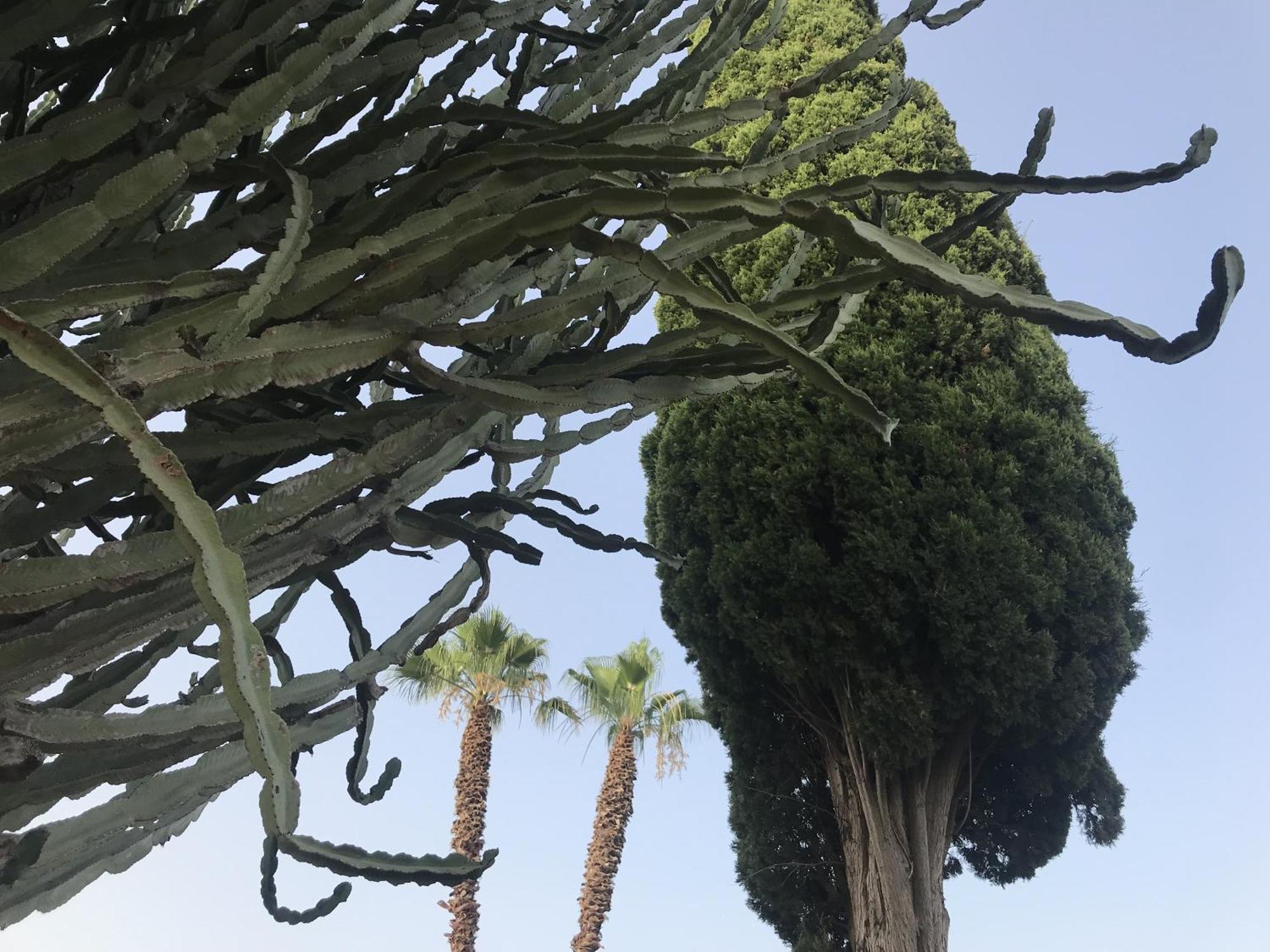 Casapiuholidaysicilia-Adults Only Noto Bagian luar foto