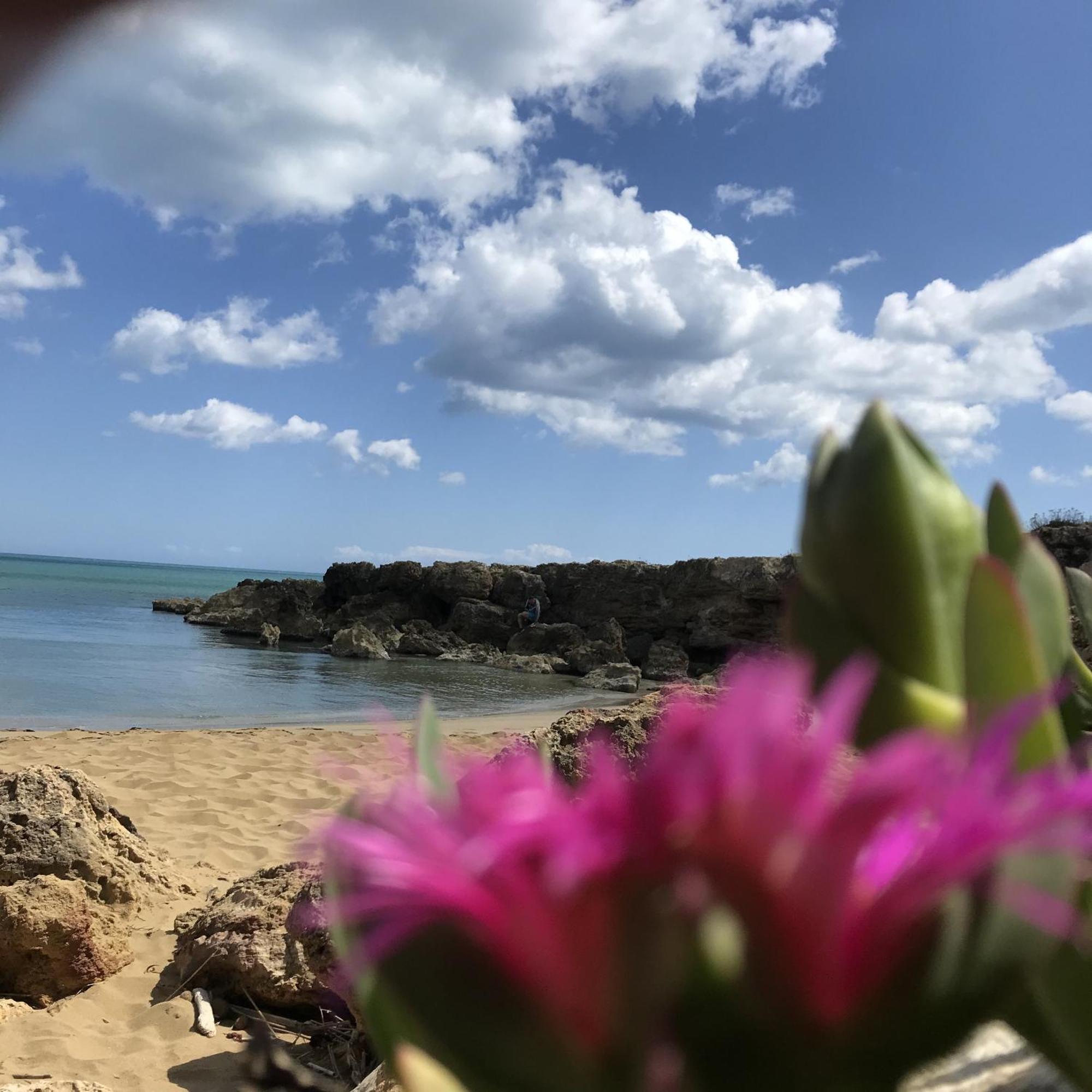 Casapiuholidaysicilia-Adults Only Noto Bagian luar foto
